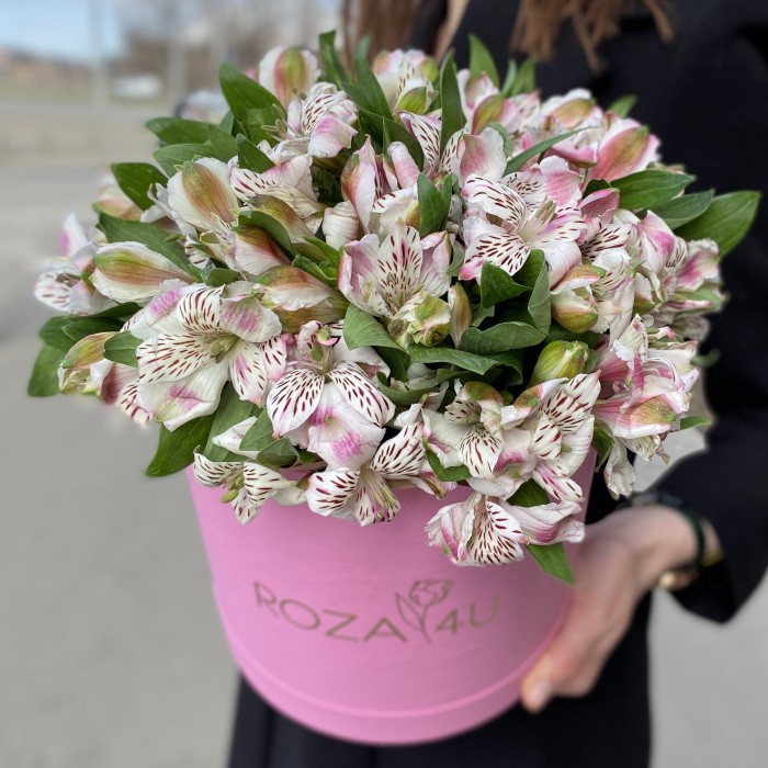 Бело-сиреневые альстромерии в коробке