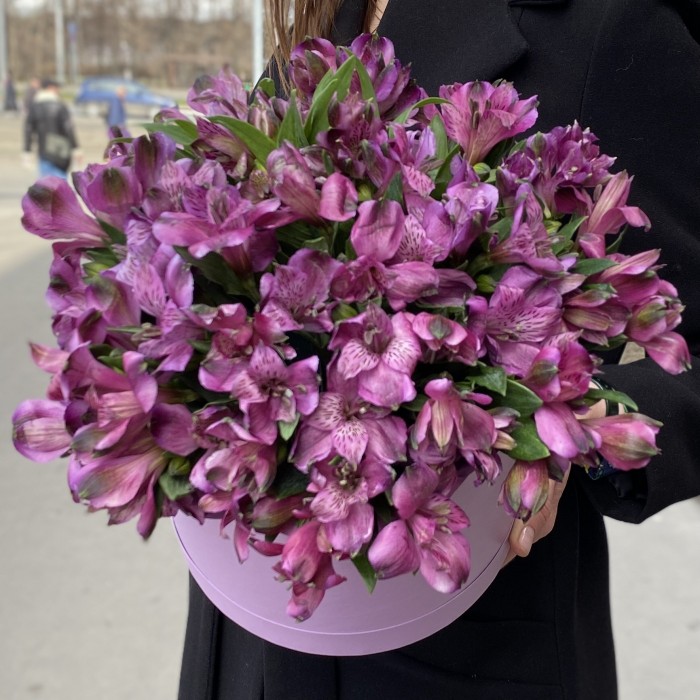 Фиолетовые альстромерии в коробке