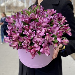 Фиолетовые альстромерии в коробке Фиолетовые альстромерии в коробке