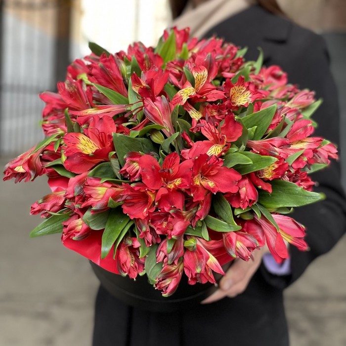 Красные альстромерии в коробке