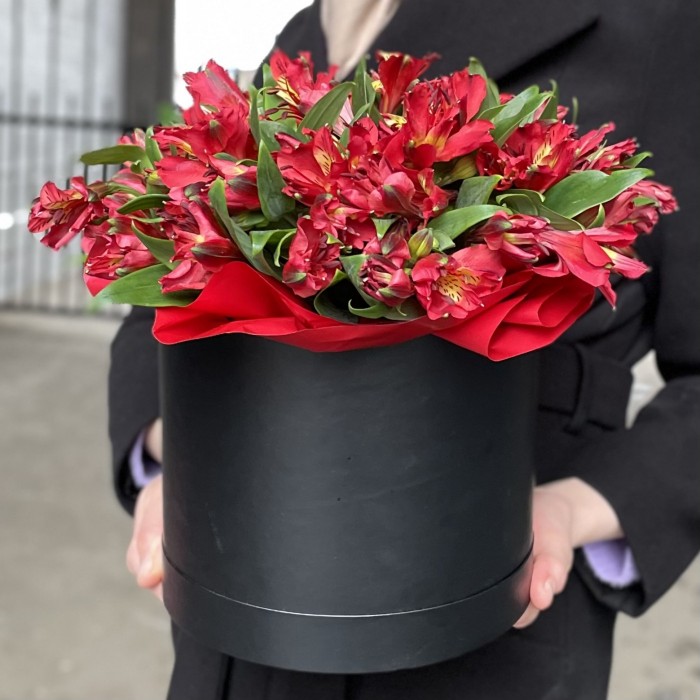 Красные альстромерии в коробке