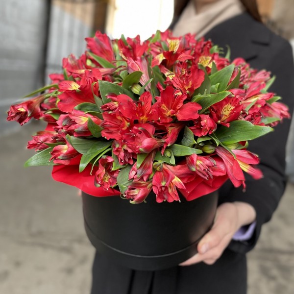 Красные альстромерии в коробке