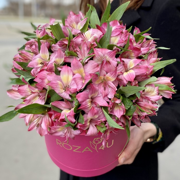 Розовые альстромерии в коробке