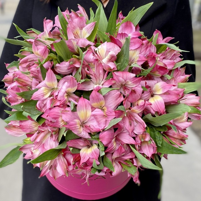 Розовые альстромерии в коробке