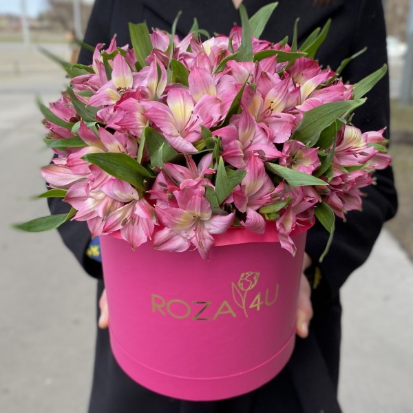 Розовые альстромерии в коробке