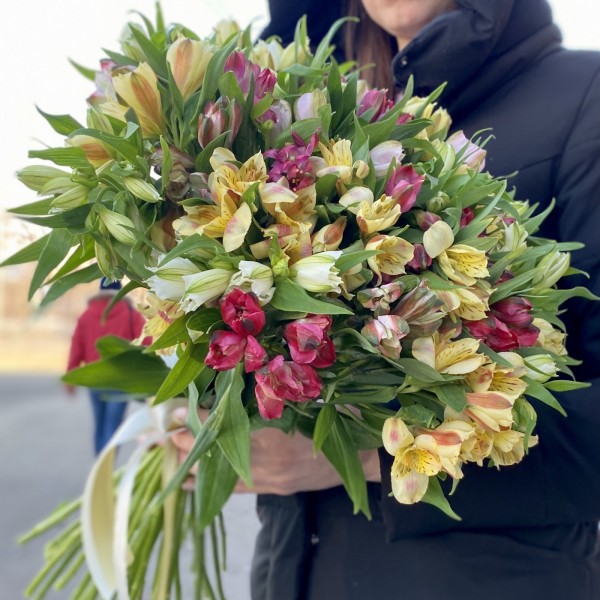 Альстромерии