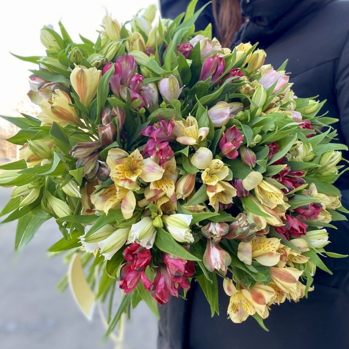 Альстромерии