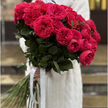 Роза Эквадор Красная Red Piano