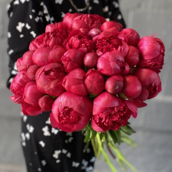 Древовидный пион и современные ландшафтные тренды