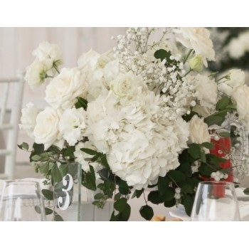 Цветок Гортензии - история происхождения, интересные факты 