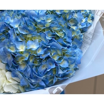 Букет гортензии - источник силы и любви