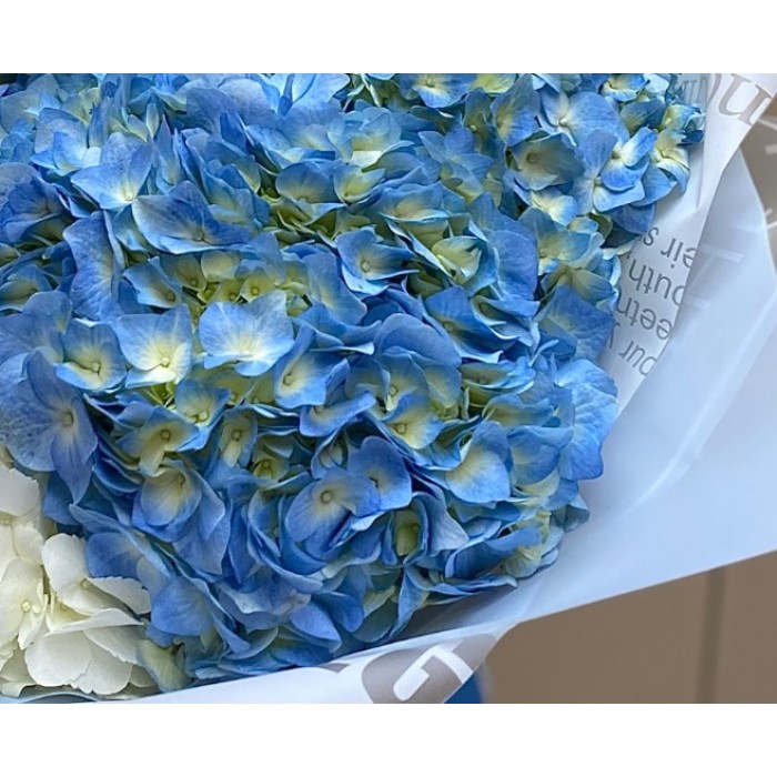 Букет гортензии - источник силы и любви