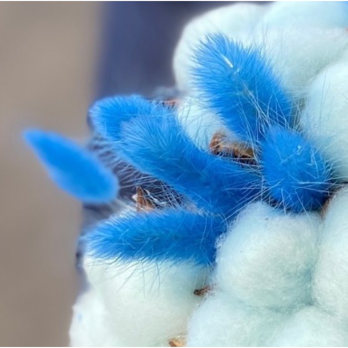 Интерьерные букеты и композиции для уюта вашего дома