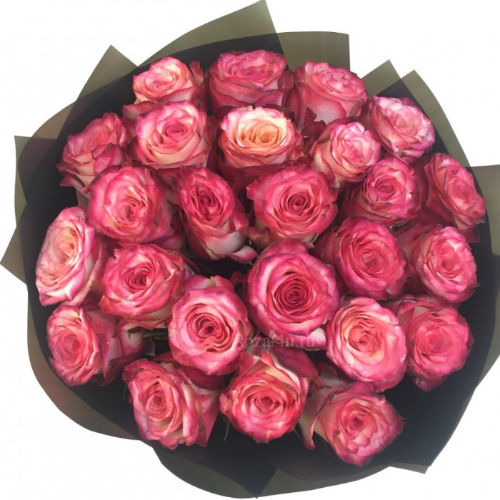 Розы: очарование, страсть, сила, изящество в каждом лепестке