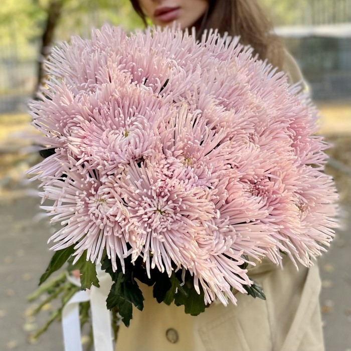 5 надёжных признаков, которые позволят определить свежесть цветов