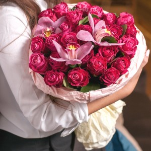 Розовые Розы Фото Реальные