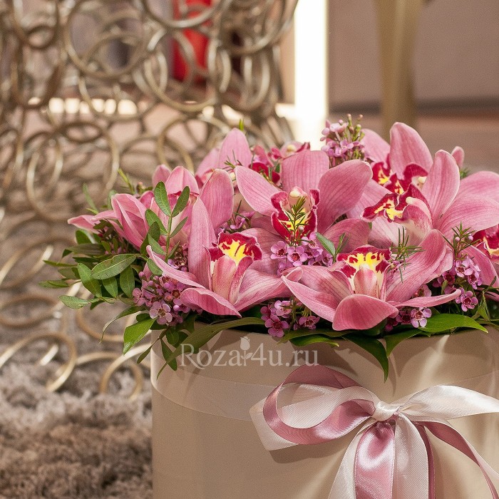 Орхидеи в шляпной коробке