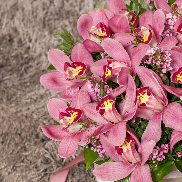 Орхидеи в шляпной коробке