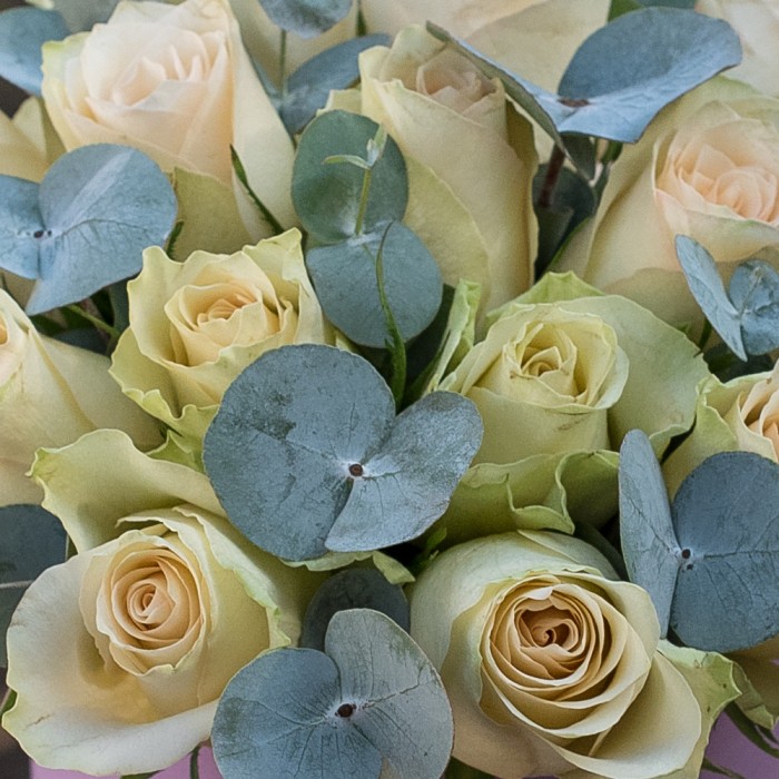 Бело-зелёные розы в коробке