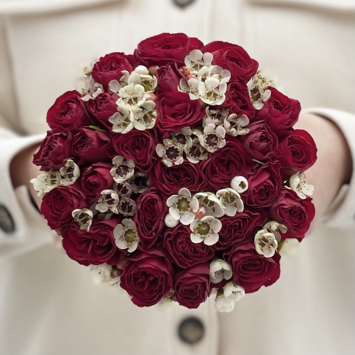 Красные пионовидные розы с ваксфлауэром в коробке