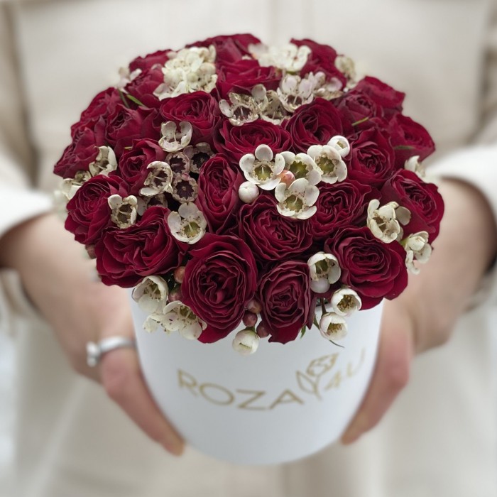 Красные пионовидные розы с ваксфлауэром в коробке