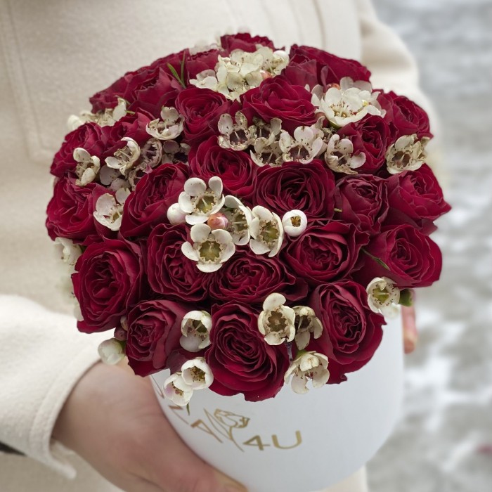 Красные пионовидные розы с ваксфлауэром в коробке