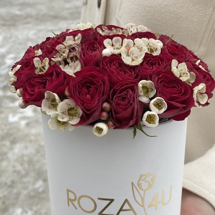 Красные пионовидные розы с ваксфлауэром в коробке