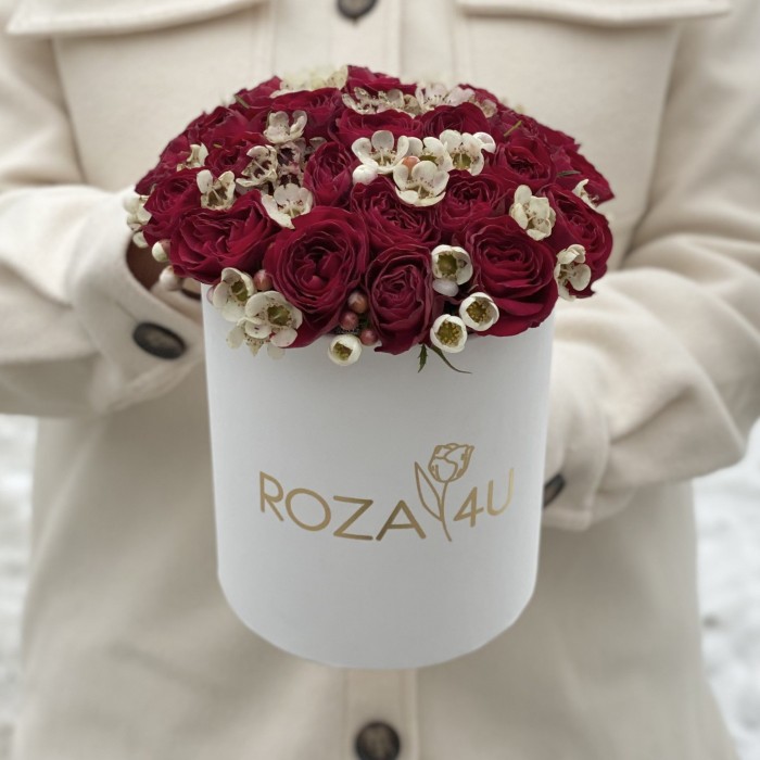 Красные пионовидные розы с ваксфлауэром в коробке