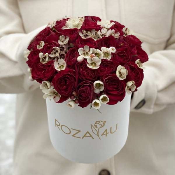 Красные пионовидные розы с ваксфлауэром в коробке