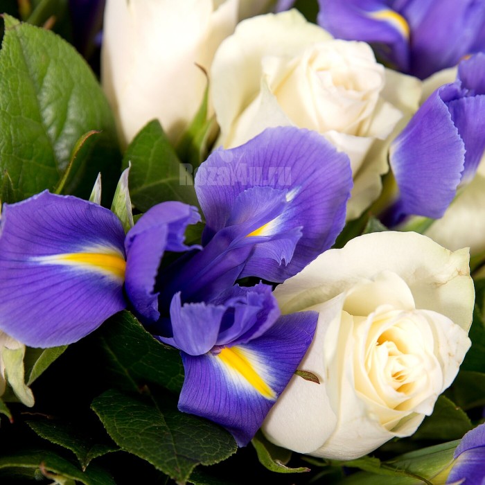 Универсальный