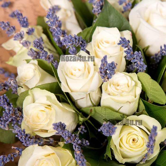 Тайна зимнего леса