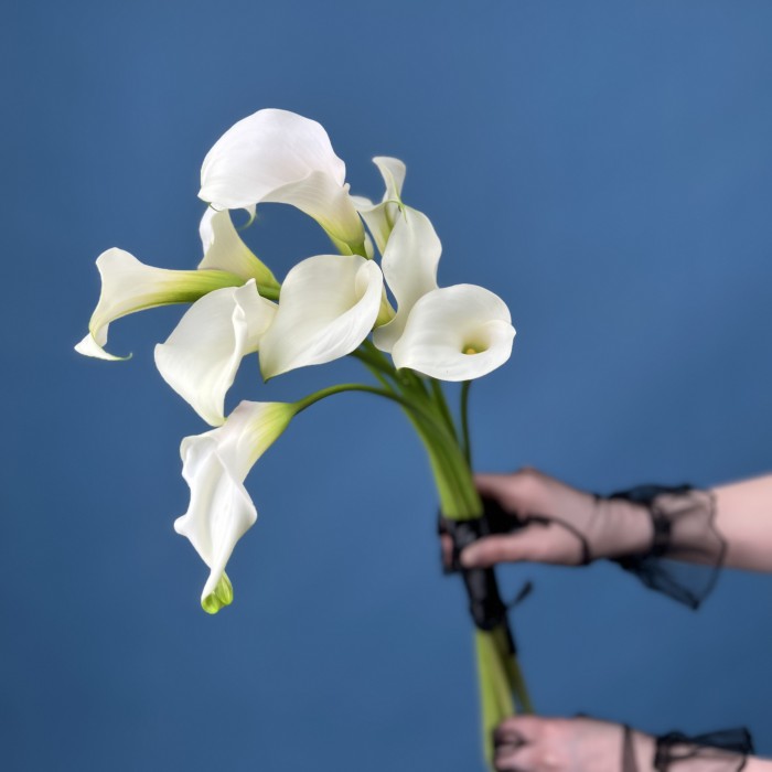 Траурный Букет из 10 белых калл