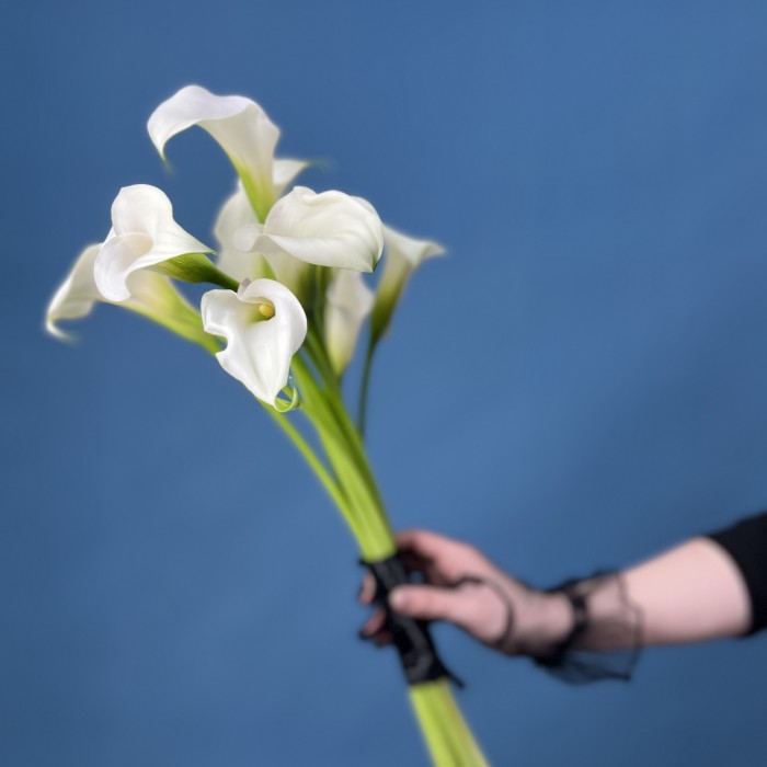 Траурный Букет из 10 белых калл