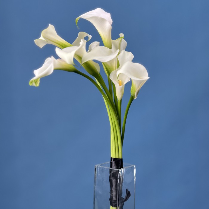 Траурный Букет из 10 белых калл