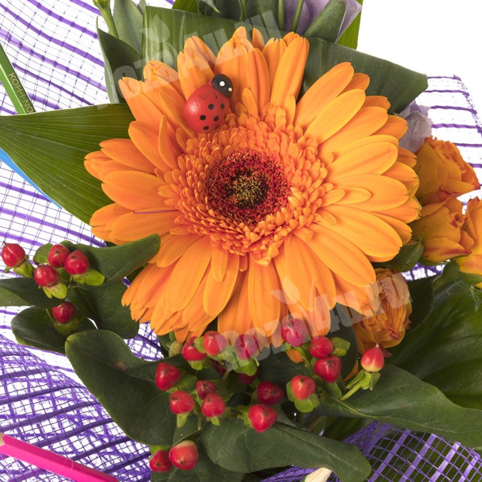 Первое сентября