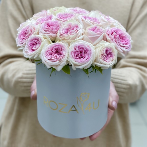 Кустовые  пионовидные розы Джелато  в коробке