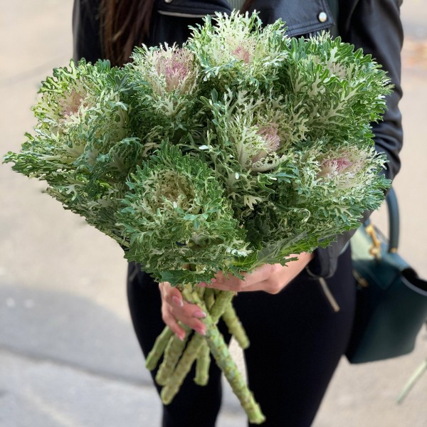 Букет из брассики Крайн Кинг