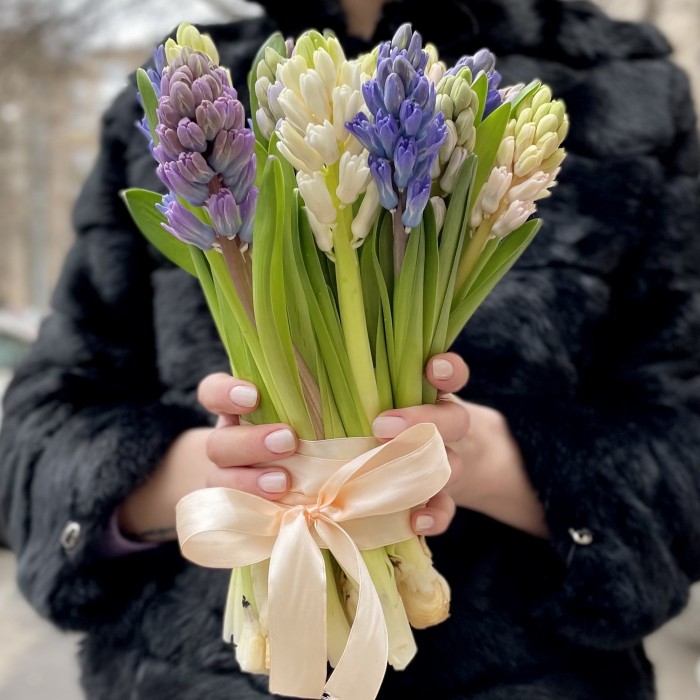 Гиацинт микс