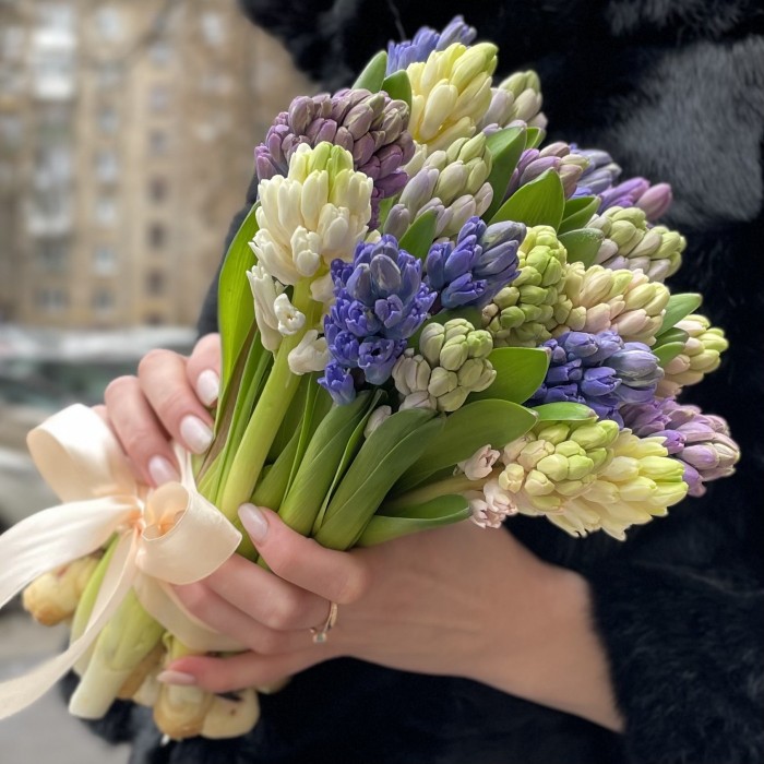 Гиацинт микс