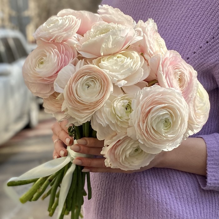 Ранункулюс