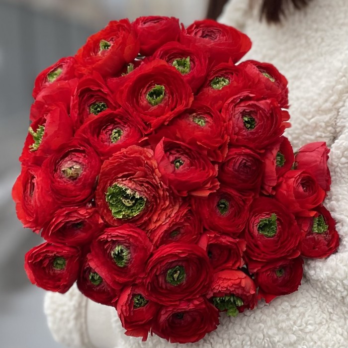 Ранункулюс красный