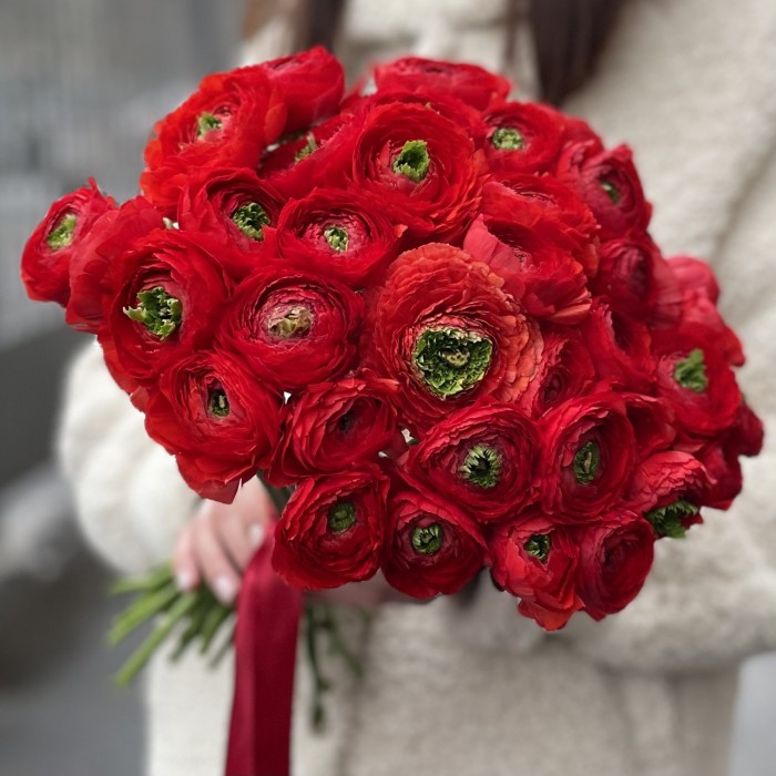 Ранункулюс красный