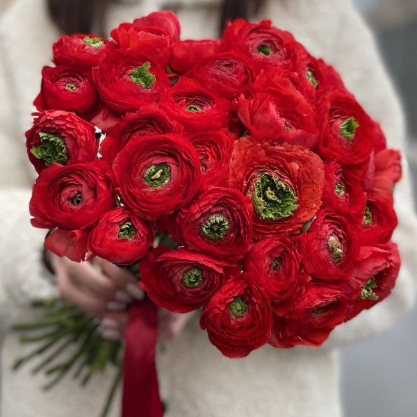 Ранункулюс красный