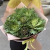7 брассик микс