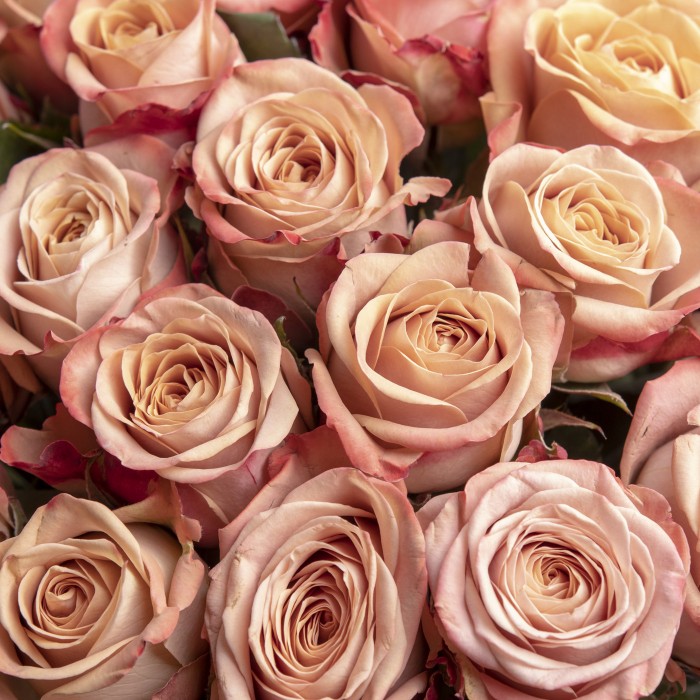 Букет роз Капучино