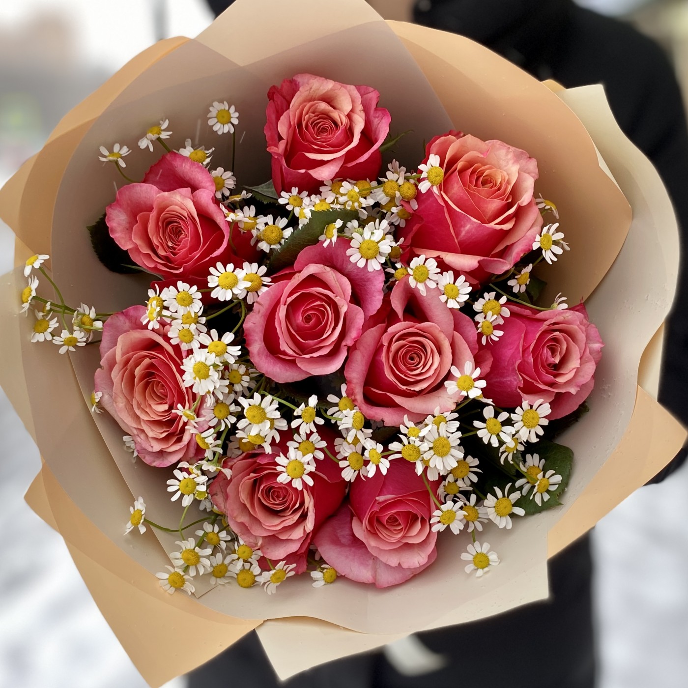 Розы с ромашками фото доставка цветов в бишкеке недорого цена