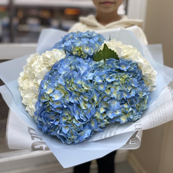 Букет из голубой и белой гортензии