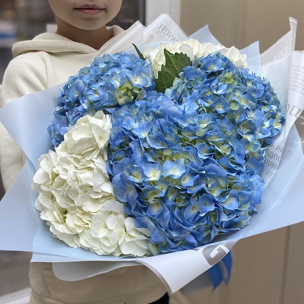 Букет из голубой и белой гортензии