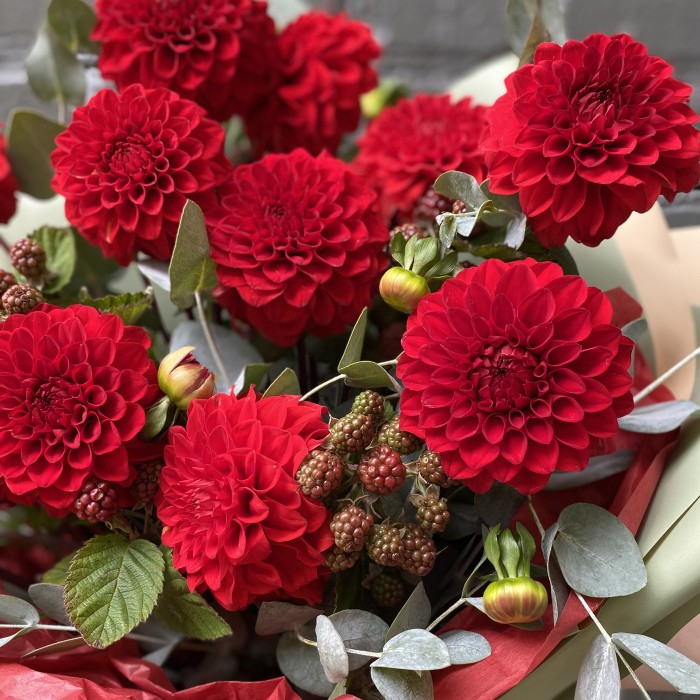 Букет Красные георгины