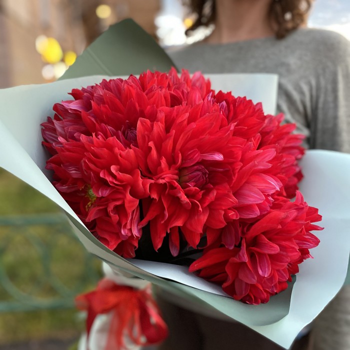 Красные георгины